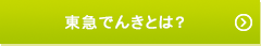東急でんきとは？