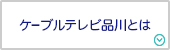 ケーブルテレビ品川とは